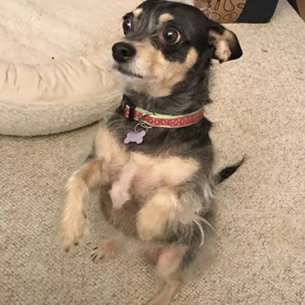 Welcome! - Picture 3 of 7